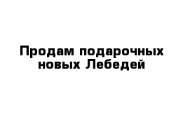 Продам подарочных новых Лебедей